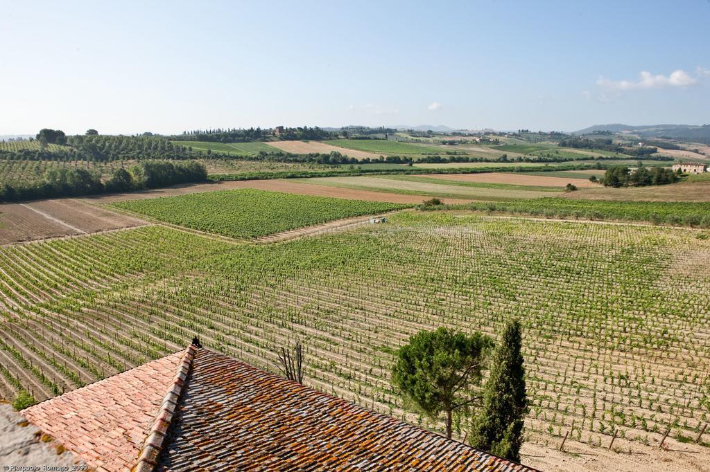 Tenuta Di Petriolo Guest House Torrita di Siena Ngoại thất bức ảnh